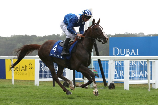 Plans announced to enable further integration of purebred Arabian Racing with British Racing from 2021 Image Plans announced to enable further integration of purebred Arabian Racing with British Racing from 2021 Image